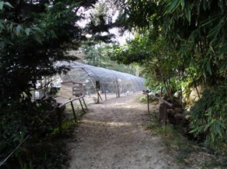  Un pequeño rincón del paraíso en plena naturaleza.